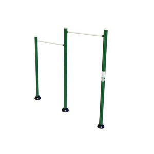 Chin Up Bar Dual Station