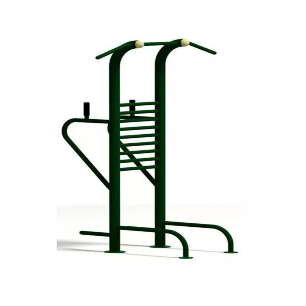 Chin Up & Dipping Bar